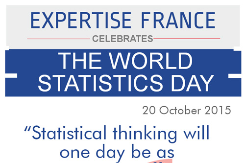World Statistics Day in France